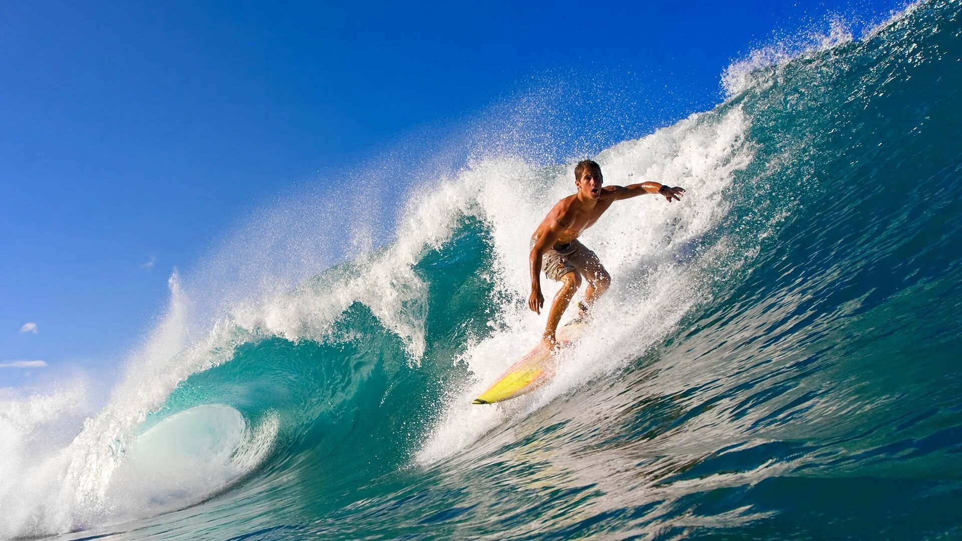 战队训练营强化体能与战术,队伍体能训练